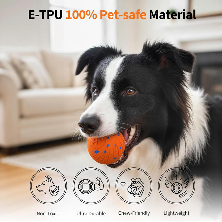 SEREVE Interactive Dog Ball