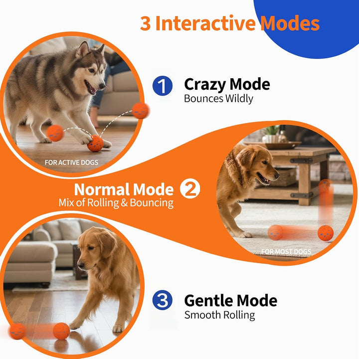 SEREVE Interactive Dog Ball