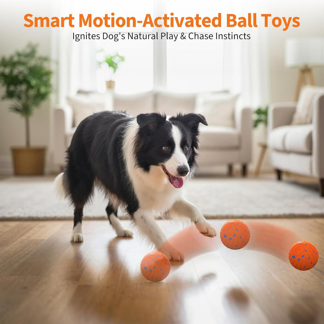 SEREVE Interactive Dog Ball