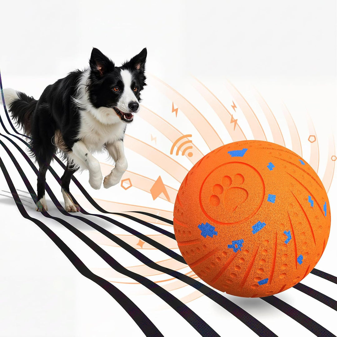 SEREVE Interactive Dog Ball